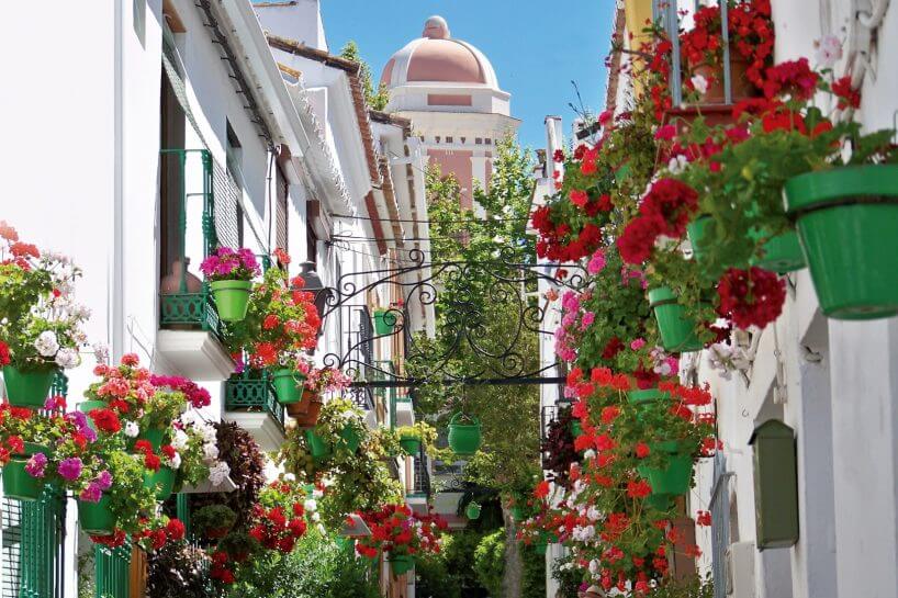 The-Property-Agent-Estepona-4